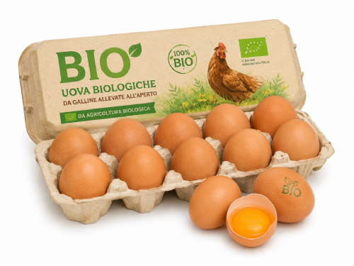 Uova Biologiche Singole
