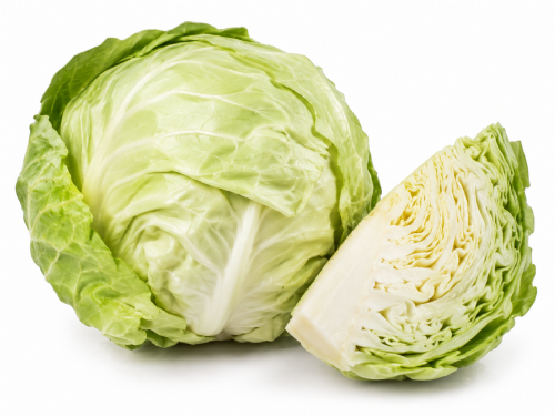 Cavolo Cappuccio Bianco
