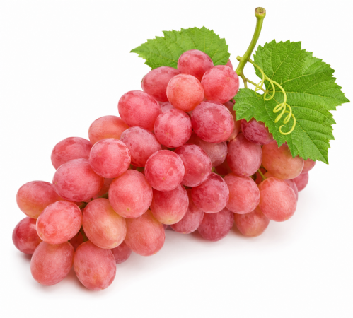 Uva Rosata Senza Semi