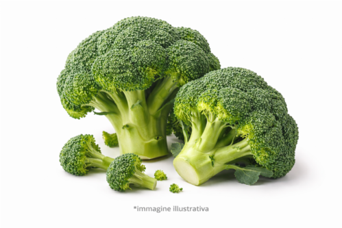 Broccoletti