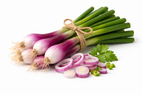 Cipollotti
