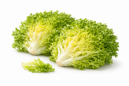 Insalata Riccia