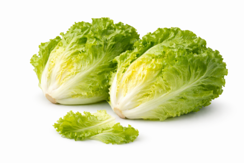 Insalata Scarola